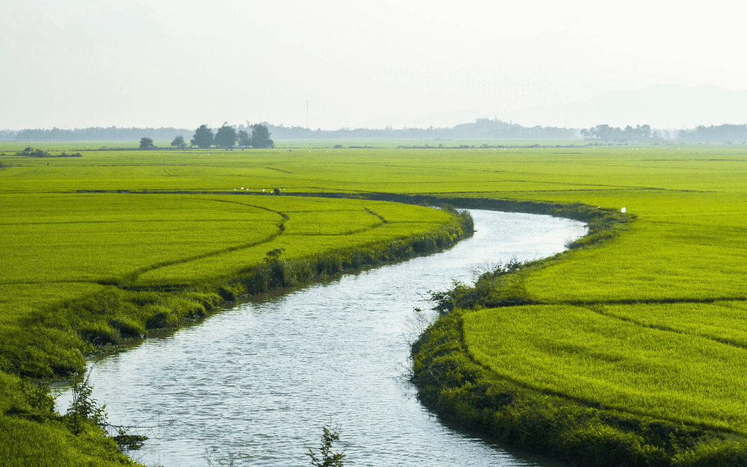 Le transit traitement entretien espace vert