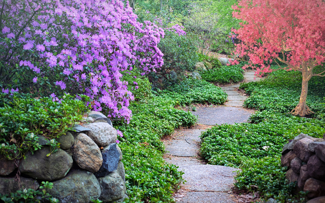 Amenagement jardin le transit