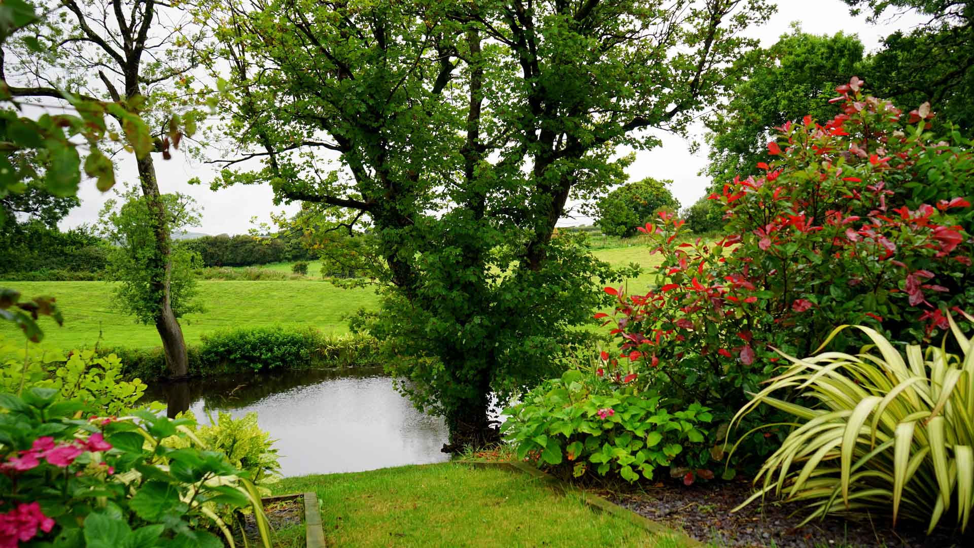 Le transit entretien jardin