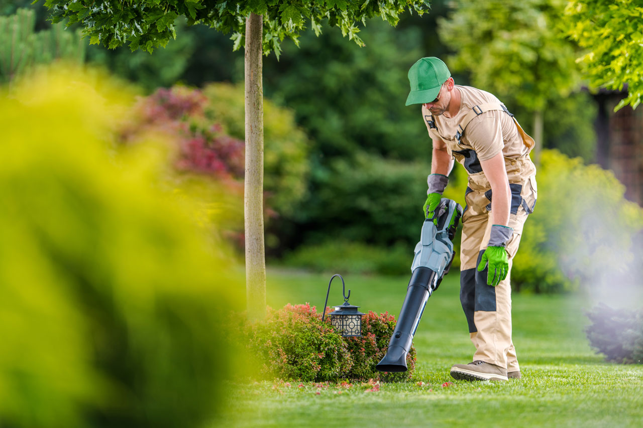 Le Transit met tout le savoir-faire de son équipe à votre service pour l'entretien de jardins à Villefranche-sur-Saône...